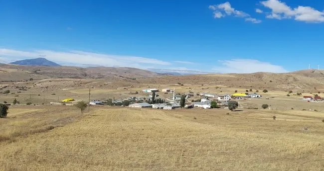 Sivas’ta kene can aldı