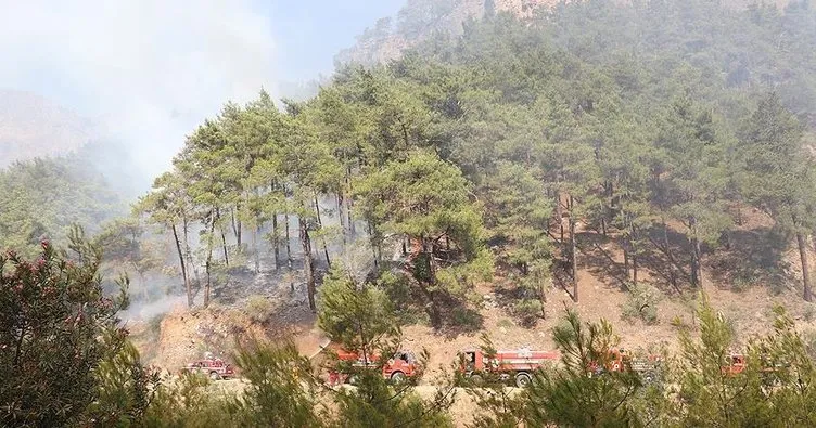Antalya’da alev alan otobüsteki yangın ormana sıçradı