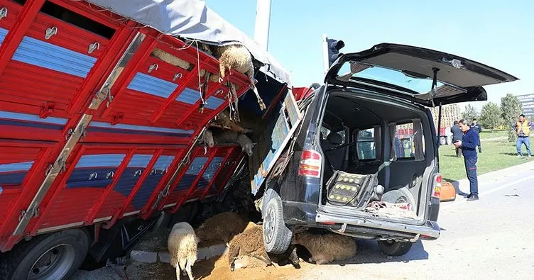Küçükbaş hayvan taşıyan kamyon ile hafif ticareti araç çarpıştı: 1 ölü, 2 yaralı