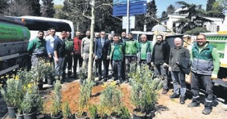 İBB’nin kestiği 112 ağaç Beyoğlu’nda toprakla buluştu