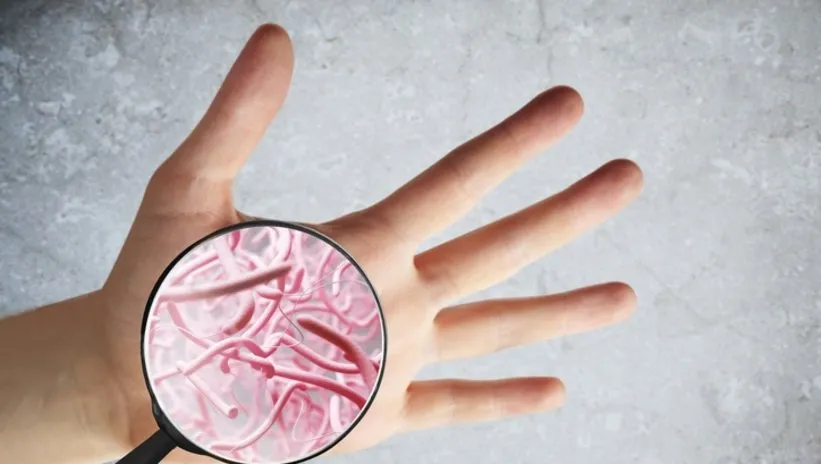 Lezzetin sırrı elimizdeki bakteriler!