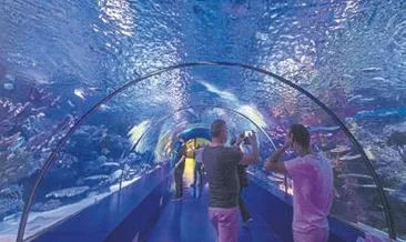 Akvaryum’da özel kampanya