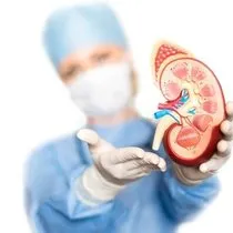 bobrek agrisina ne iyi gelir nasil