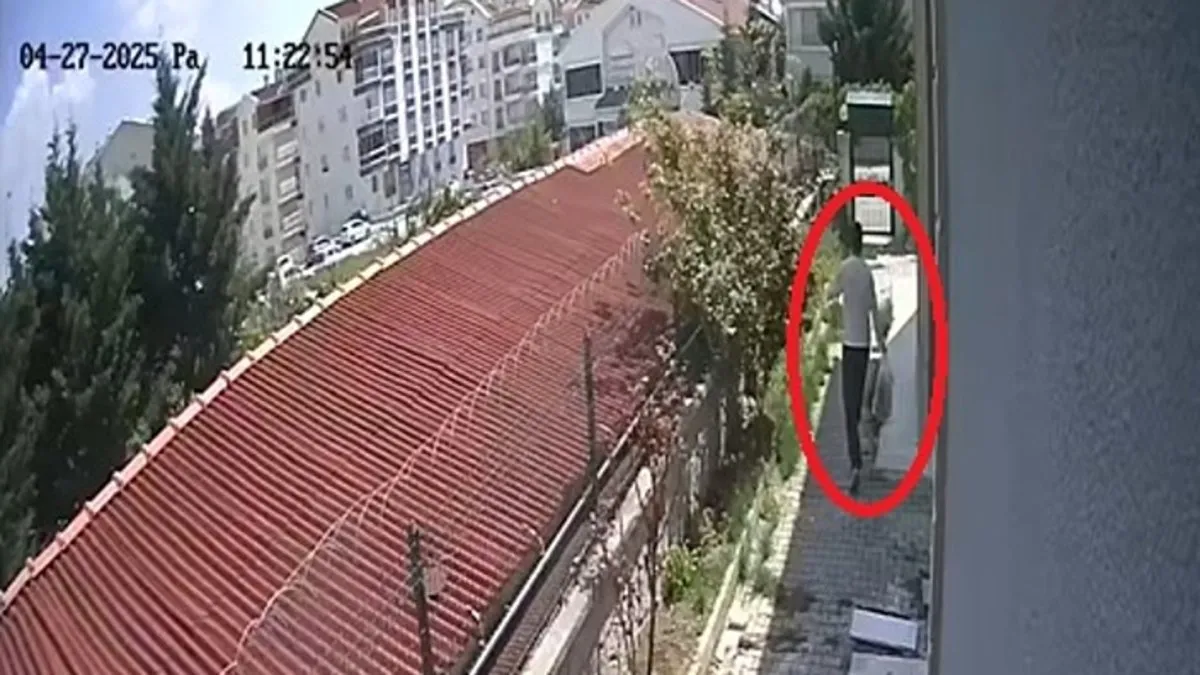 Sahiplenme bahanesiyle köpekleri parçaladığı iddia edildi: O cani tutuklandı!
