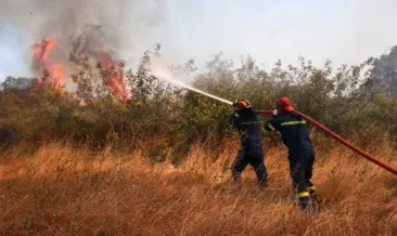 Bulgaristan’dan komşuya sıçrayan yangına müdahale üçüncü gününde
