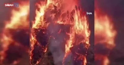 Portekiz’de 3 büyük orman yangını | Video