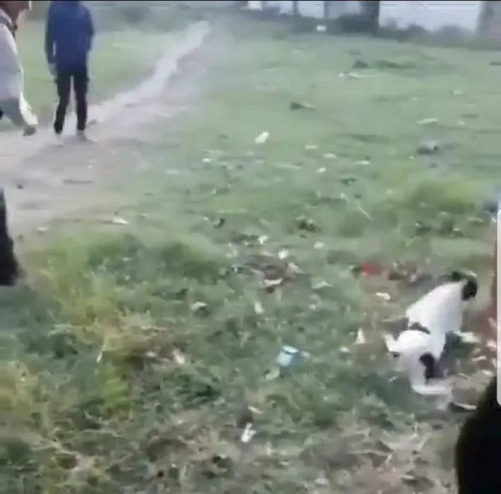 Köpeğe ve kendine engel olmaya çalışan çocuğa taş attı