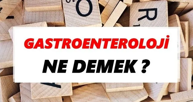 Gastroenteroloji Ne Demek? TDK’ya Göre Gastroenteroloji Sözlük Anlamı Nedir?
