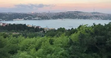 Türkiye’nin havası en temiz şehri açıklandı! Güncel listenin ilk üç sırası şoke etti: Adeta oksijen deposu...