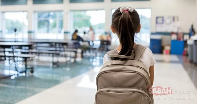E Okul Ile Kayit Sorgulama Ekrani Cocugum Hangi Okula Gidecek Meb Ile 2020 Okula Baslama Yasi Ile Okul Kayitlari Ne Zaman Basliyor Egitim Haberleri