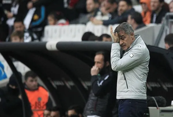 Şenol Güneş: Favori Lyon