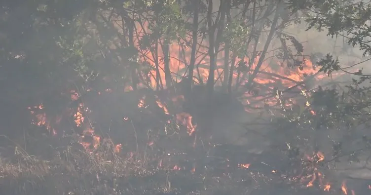 Kırıkkale’de anız yangını ağaçlık alana sıçradı