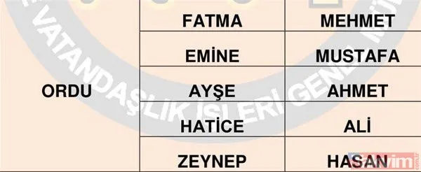 turkiye de en cok kullanilan isimler