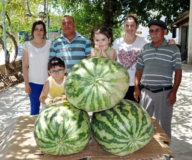 Türkiye’nin en büyük karpuzu