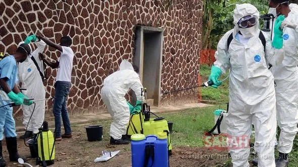 Binlerce kişi öldü! Organları kısa sürede iflas ettiriyor