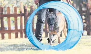 Bop, büyük katkı sağladı