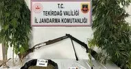 Kapaklı’da uyuşturucu ve ruhsatsız silah operasyonu!