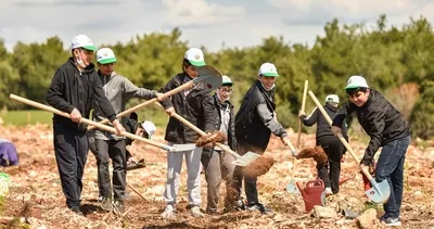 Yanan ormanlık alanlar ağaçlandırıldı