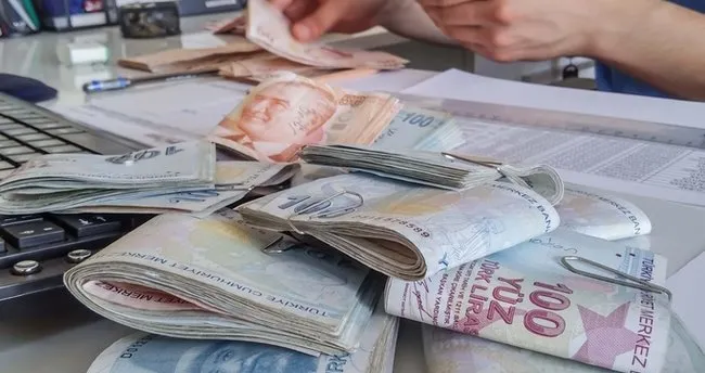 Doğrudan Gelir Desteği Ödemeleri