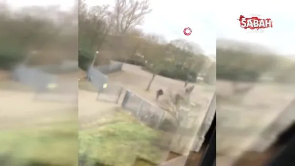 Almanya'da okulda silahlı saldırı ihbarı! İşte ilk görüntüler | Video