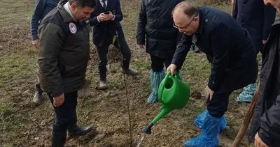 Devrek İlçesinde bin 250 adet aşılı kızılcık fidanı dağıtıldı #zonguldak