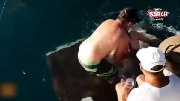 Genç kadın beslediği köpek balıklarının saldırısına uğradı... Köpek balığı dehşeti kamerada!