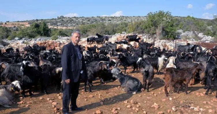 Yörüklerin göçünden renkli görüntüler