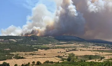 Şarköy’de yangın kontrol altına alındı