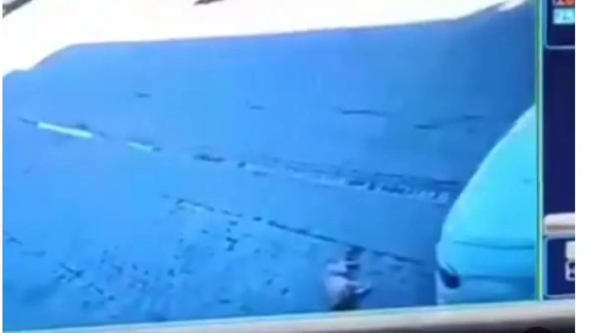 Gaziantep'te feci olay: Sokakta uyuyan köpeği arabayla ezdi!