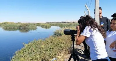 Kuş gözlemcileri Birecik’te buluştu #sanliurfa