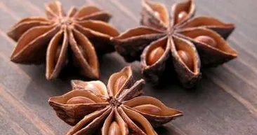 Anason yağı nedir, nasıl elde edilir?