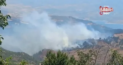 Kahramanmaraş’ta orman yangını | Video