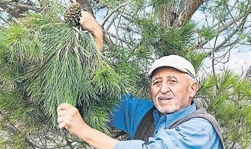 Türkiye’nin ‘orman dedesi’ne veda #konya