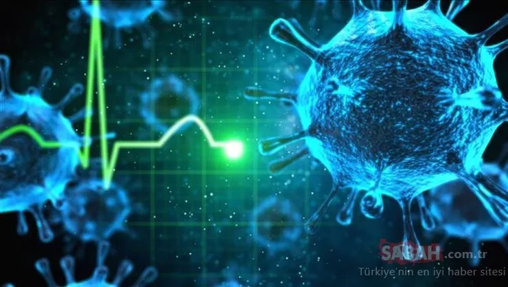 Hanta virüs nedir, nasıl bulaşır? Hanta virüs belirtileri nedir, Türkiye’de var mı?
