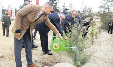 Türkiye Filistin ile temasta #konya