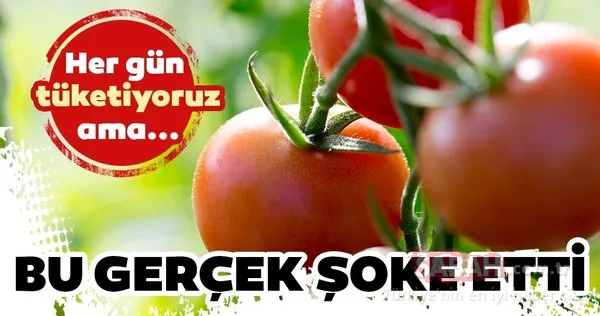 Su tüketmediğimiz durumlarda su alabileceğimiz besinler nelerdir? İşte su içeren besinler ve besinlerin su oranı