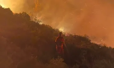 Muğla’da iki ilçede yangın alarmı