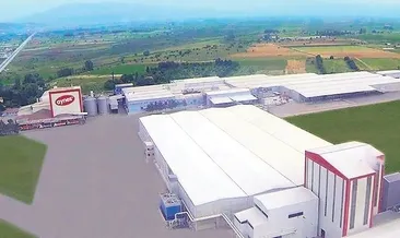 Aynes yeniden TMSF’ye devredildi