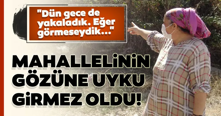 Mahallede yılan ve akrep istilası! Korkudan uyuyamıyorlar...