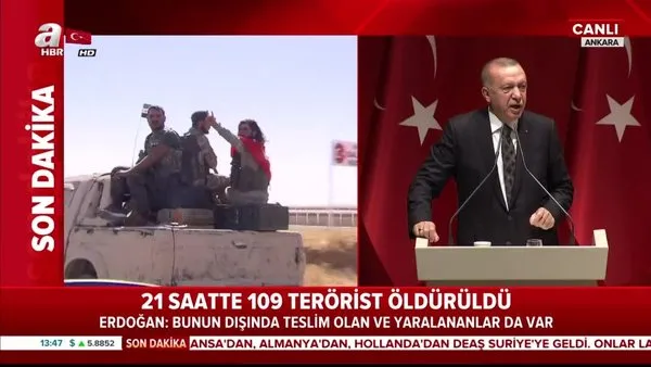 Başkan Erdoğan: DEAŞ'lıları ülkeleri kabul ederse göndereceğiz