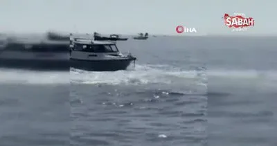 ABD’de kambur balina tekneye çarptı | Video