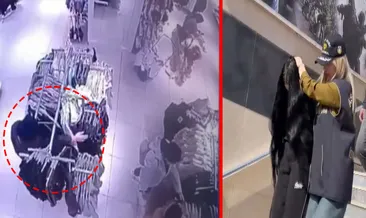 Güngören’de pes dedirten hırsızlık! Müşteri gibi davranıp çanta çaldı: 48 suç kaydı olan kadın tutuklandı!