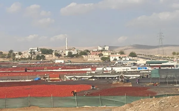 sanliurfanin-yoresel-lezzetlerden-biri-urfa-isotu-1728984167428.jpg