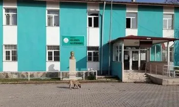 Turkuaz rengi Aslanapa Halk Eğitimi Merkezi Müdürlüğü’nün sembolü oldu