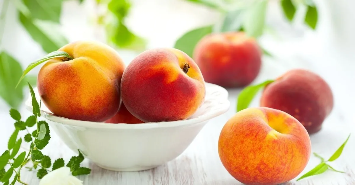 nektarinin faydalari nelerdir ne ise yarar nektarin nedir neye iyi gelir saglik haberleri