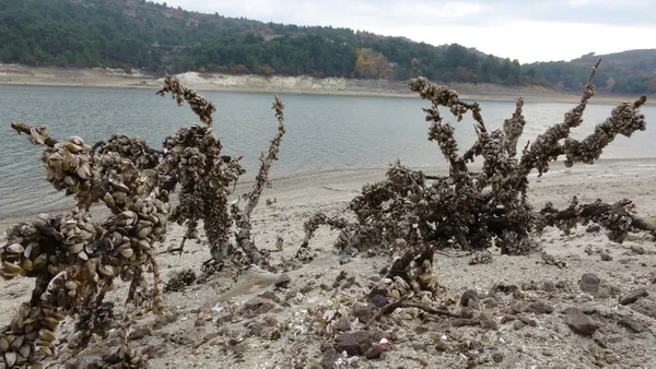Son dakika haberi: Kuraklık başladı tarımsal verim düşüyor