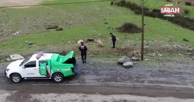 Jandarma’nın Doğa Timi iş başında | Video