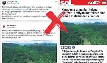 DMM: ‘Ormanların talan edildiği’ iddiası gerçek dışı #zonguldak