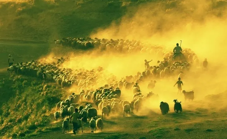 Bitlis Tatvan’da görenleri şok eden olay! 15 kilometer boyunca...