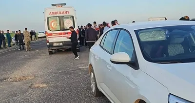 Harran’da iki otomobil çarpıştı! 2 yaralı